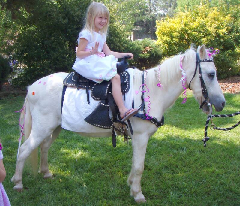 Girl ride pony. Девушки верхом на пони. Бабы на пони верхом. Pony Ride. Фотосессия с пони дети.