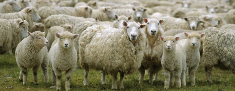 Well, look what’s back on a street corner in NYC.